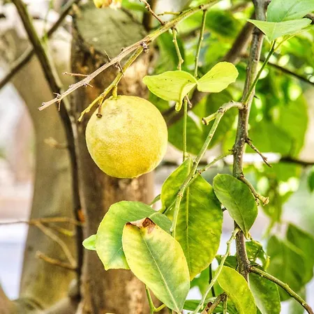 Giardino Dei Lenti 3*